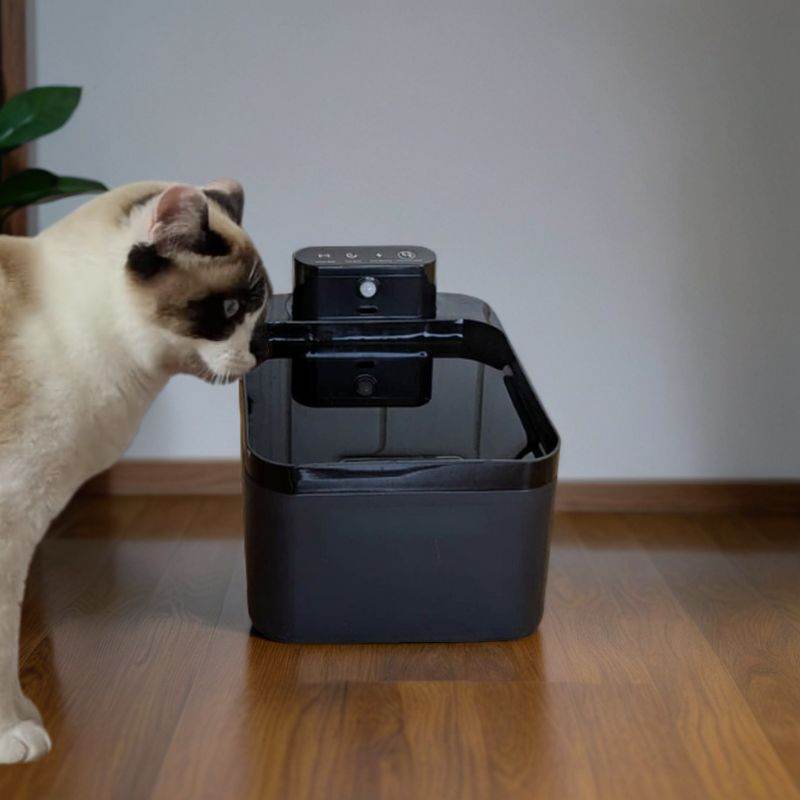 Copie_de_Copie_de_Copie_de_Copie_de_Copie_de_Sans_titre_800_x_1080_px_800_x_800_px_1 - Lynkpet