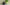Copie_de_Copie_de_Copie_de_Copie_de_baniere_2048_x_800_px_2048_x_1000_px_2048_x_800_px_2048_x_1000_px_2048_x_1000_px_2_3083366b-0468-4f48-845c-f44379c359ec - Lynkpet