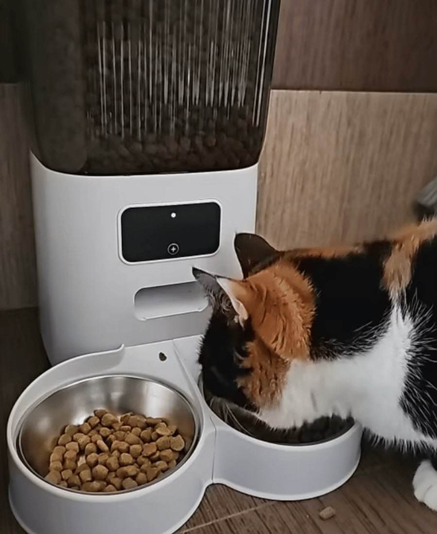 Design_sans_titre_10 - Lynkpet