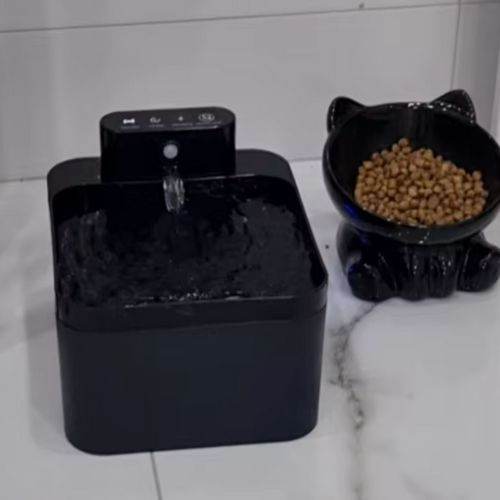 Design_sans_titre_4_-min - Lynkpet