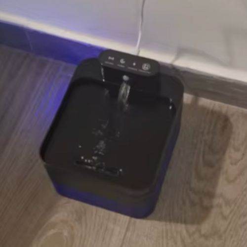 Design_sans_titre_7_-min - Lynkpet